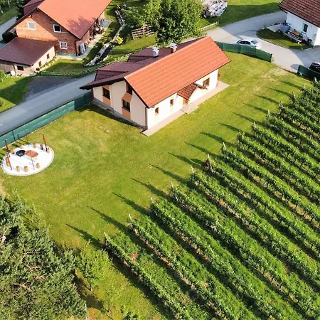 And Wellness Vinea Holiday home Spodnji Ivanjci