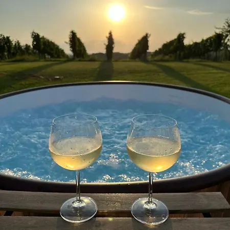 And Wellness Vinea Holiday home *