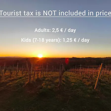 Holiday home And Wellness Vinea Spodnji Ivanjci