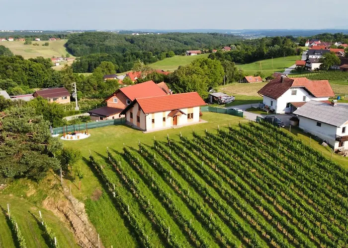 And Wellness Vinea *